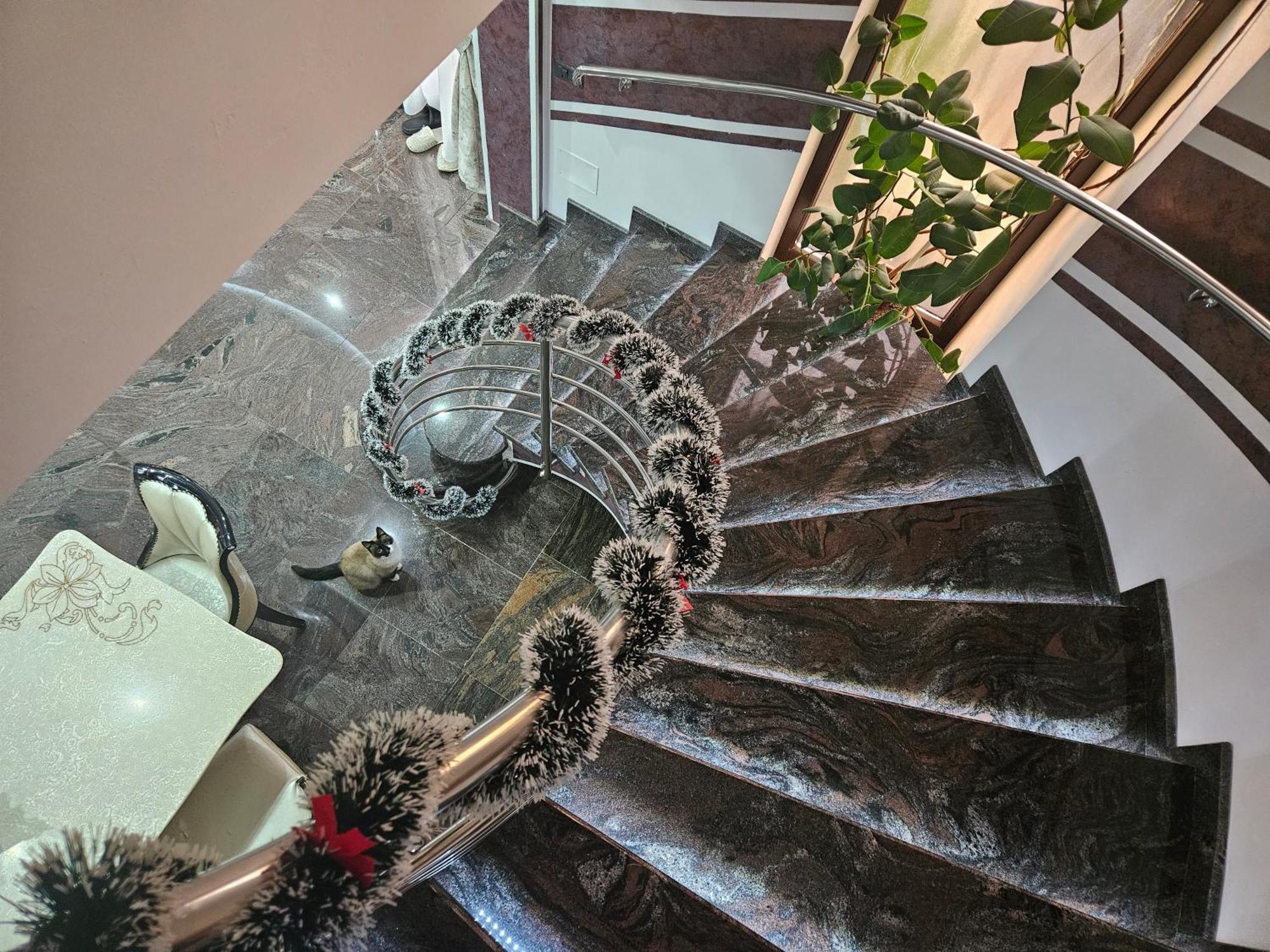 Отель Casa Perla Nordului Мойсей Экстерьер фото